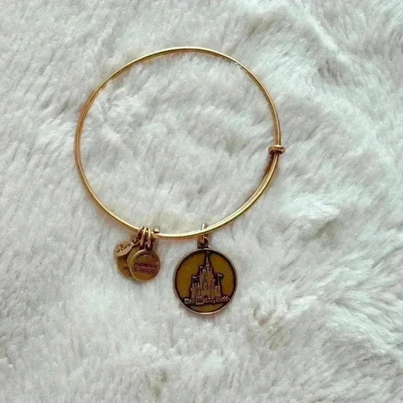 Alex and Ani Walt Disney World Gold bracelet - Picture 2 of 4